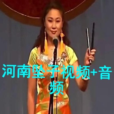 河南墜子視頻+音頻500首