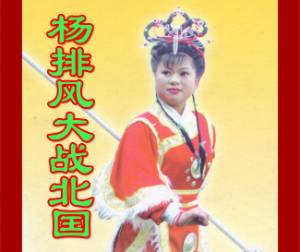 楊排風(fēng)大戰(zhàn)北國