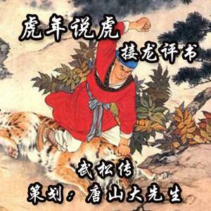 虎年說虎接龍評書武松傳